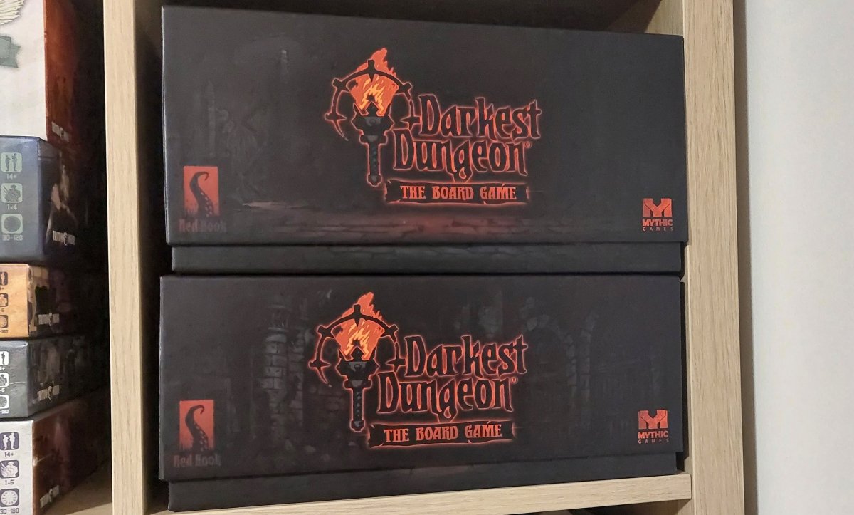 Darkest Dungeon - Game Box Organizer - Fancy But Functional